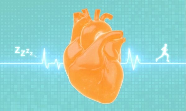 1年で心臓病を逆転させる無料の方法